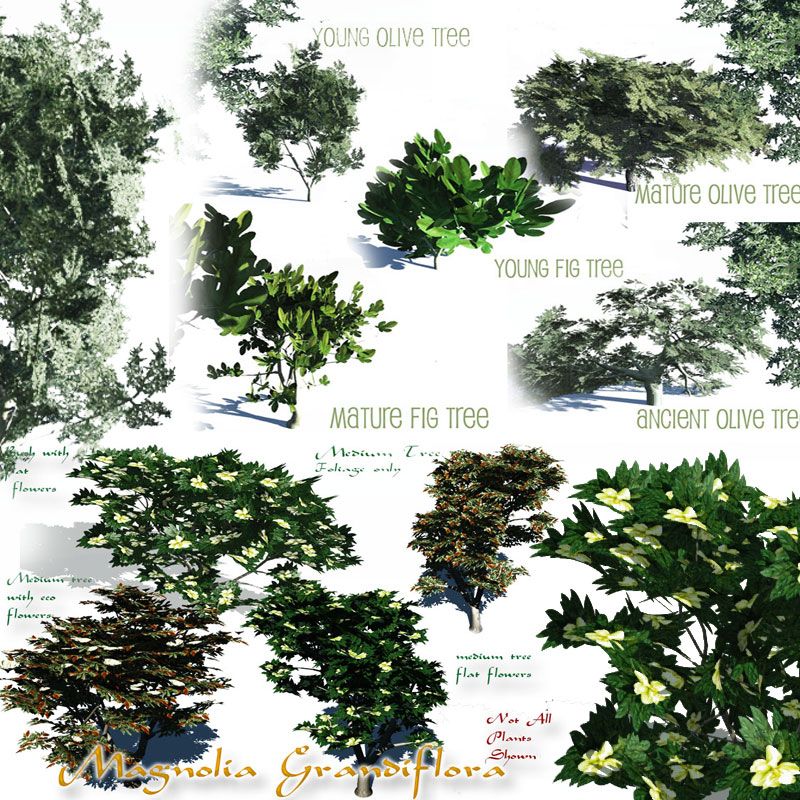 Exotic Trees MegaPack by N/A