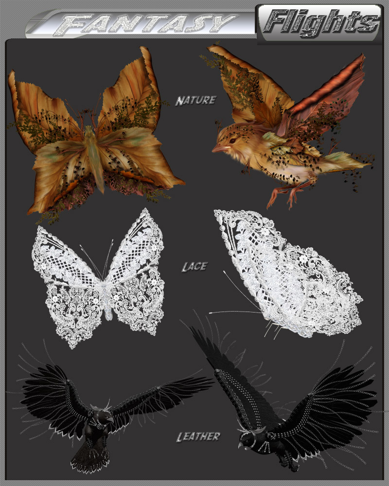 Fantasy Flights by N/A