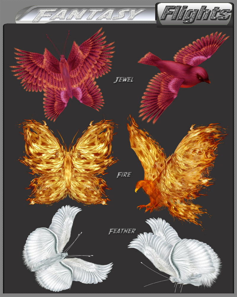 Fantasy Flights by N/A