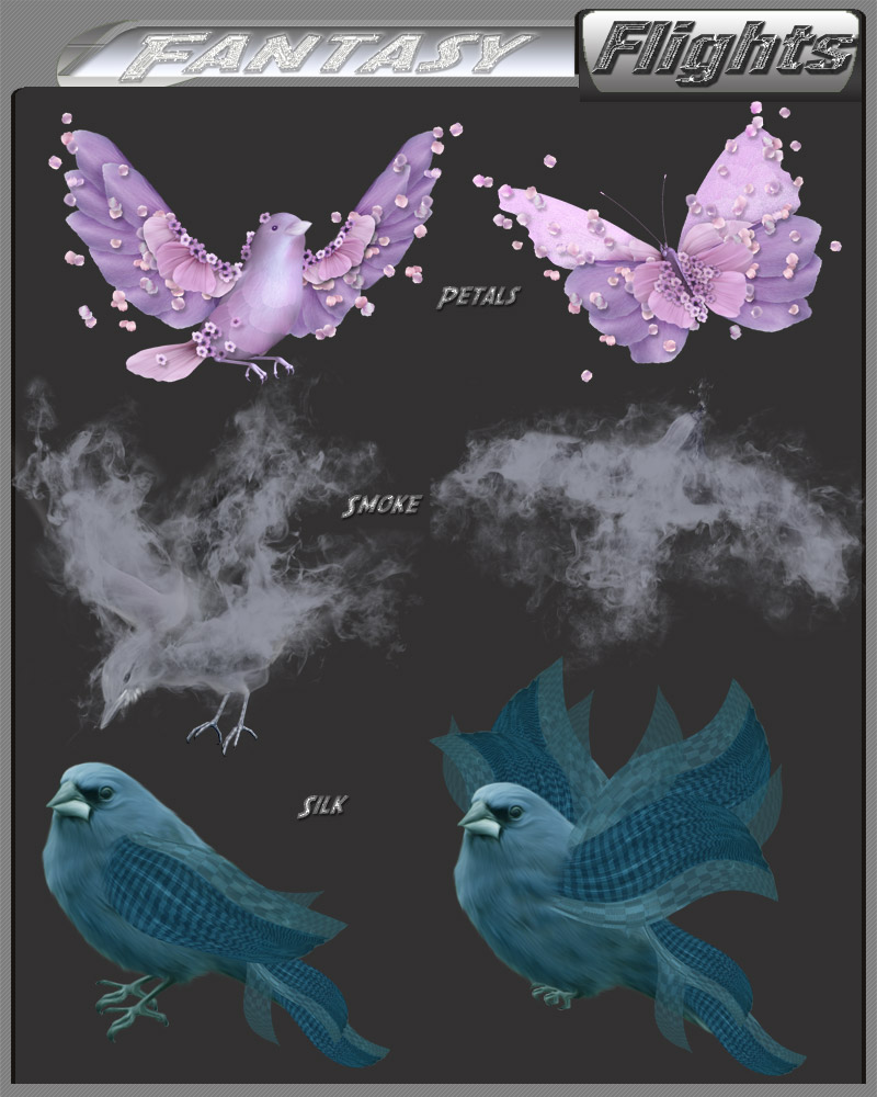 Fantasy Flights by N/A