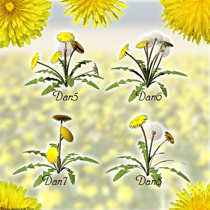Flinks Dandelion by N/A