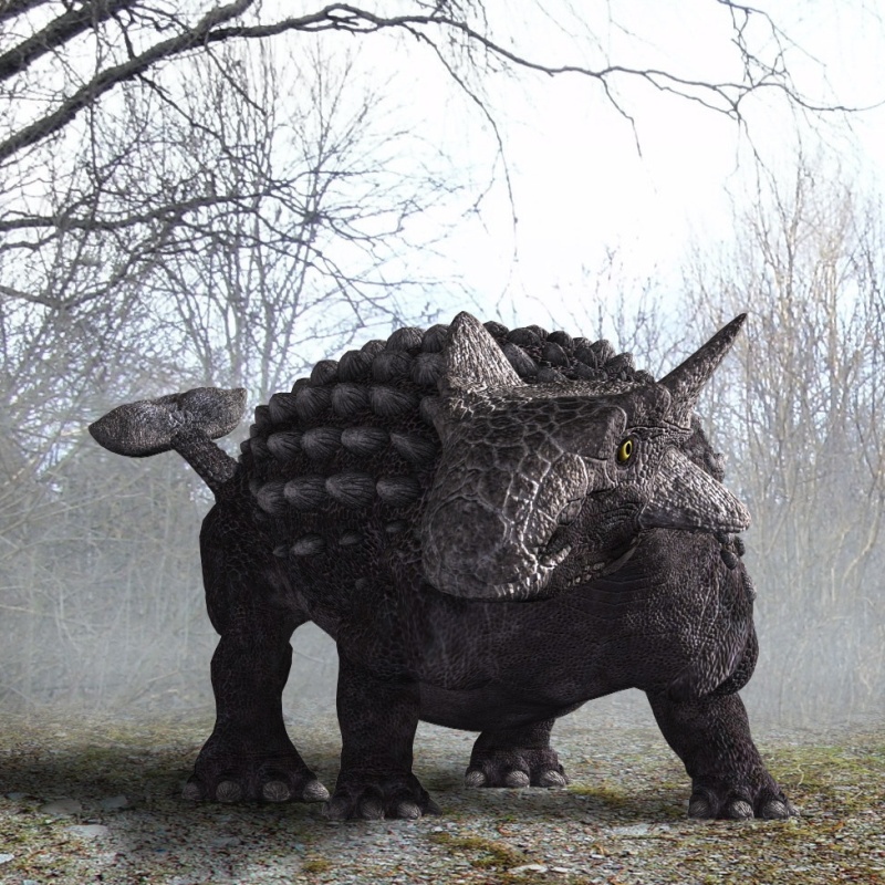 Ankylosaurus_DR by N/A