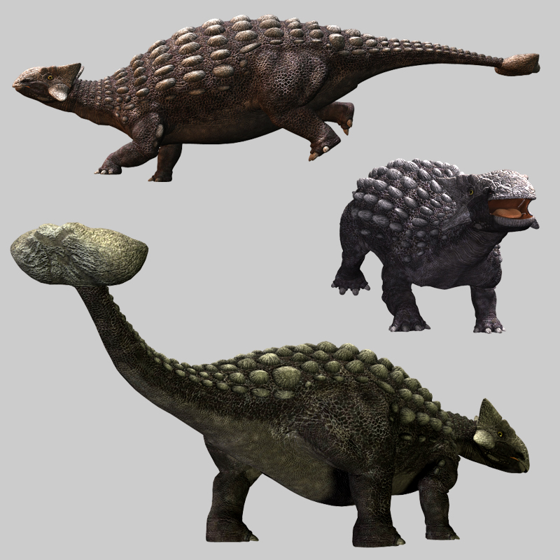 Ankylosaurus_DR by N/A