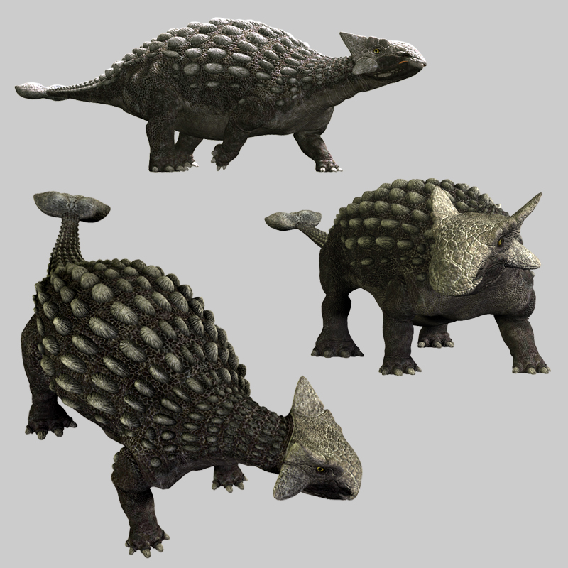 Ankylosaurus_DR by N/A