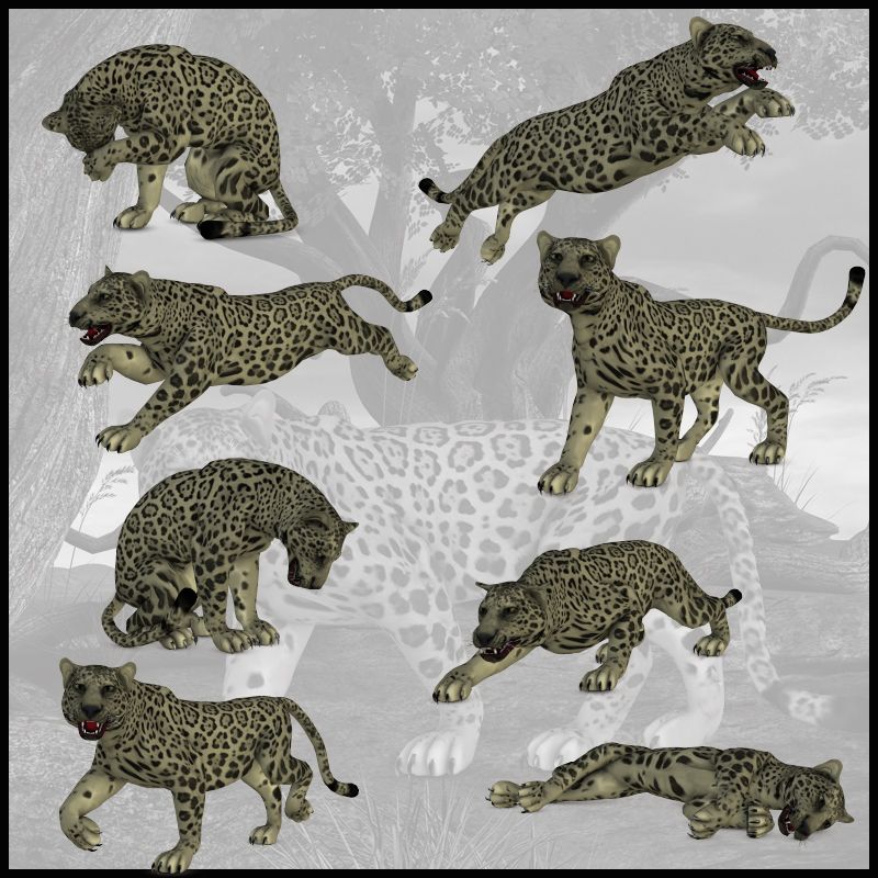CG Panther Poses by N/A