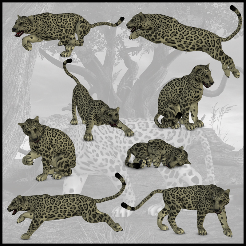 CG Panther Poses by N/A