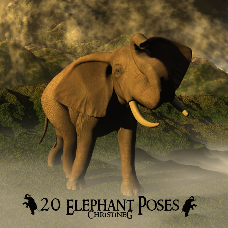 CG Elephant Poses by N/A