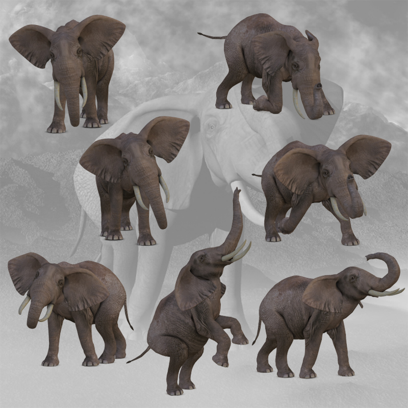 CG Elephant Poses by N/A