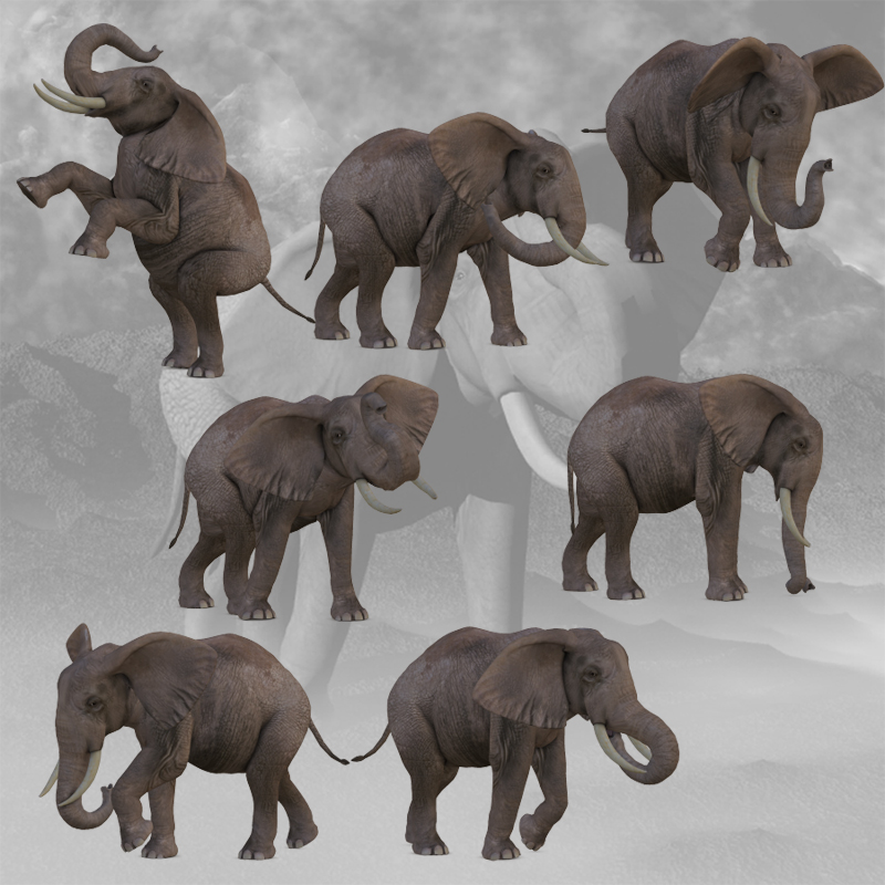 CG Elephant Poses by N/A