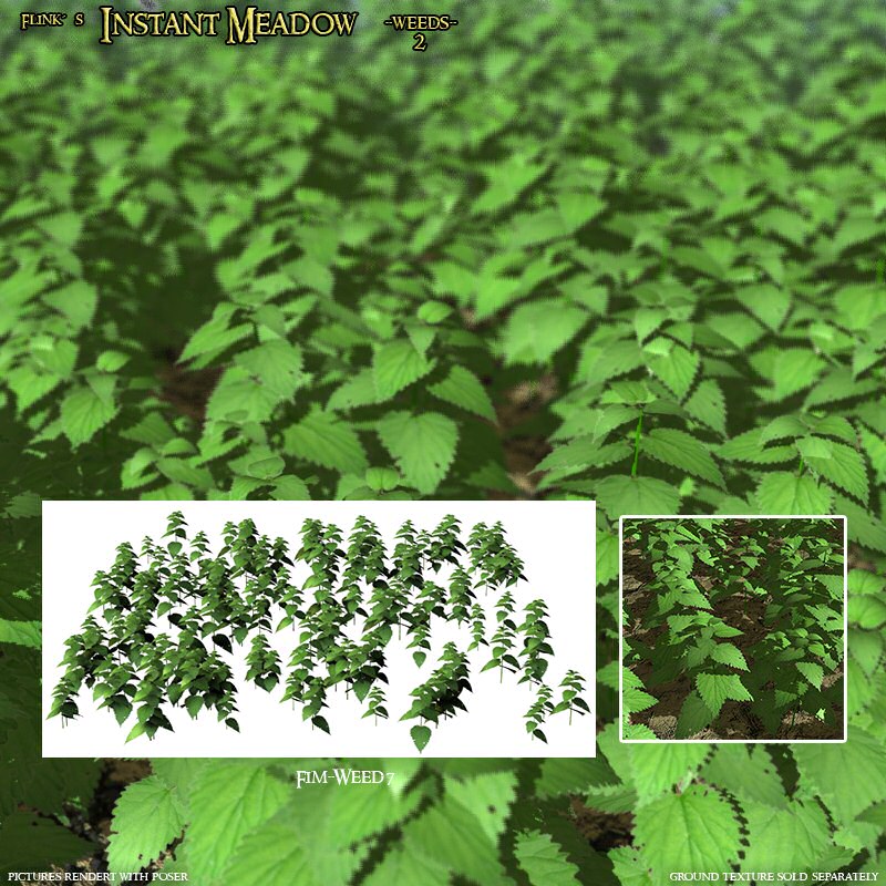 Flinks Instant Meadow - Weeds 2 by N/A