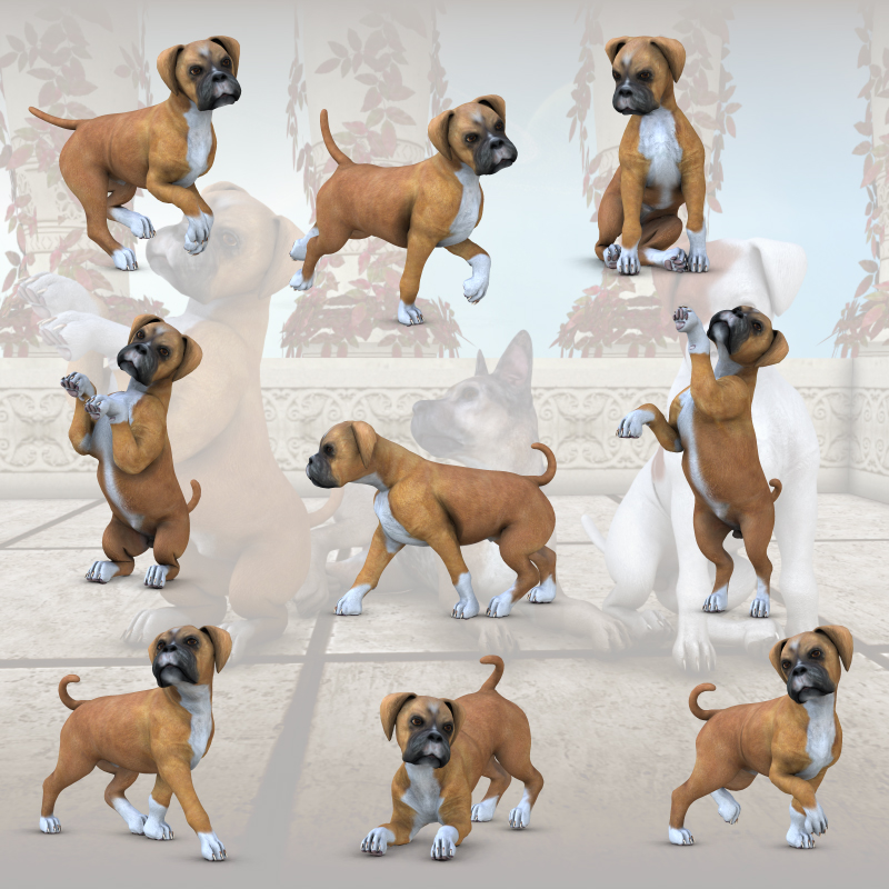 CG Puppy Poses by N/A