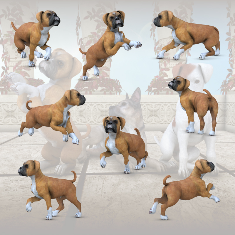 CG Puppy Poses by N/A