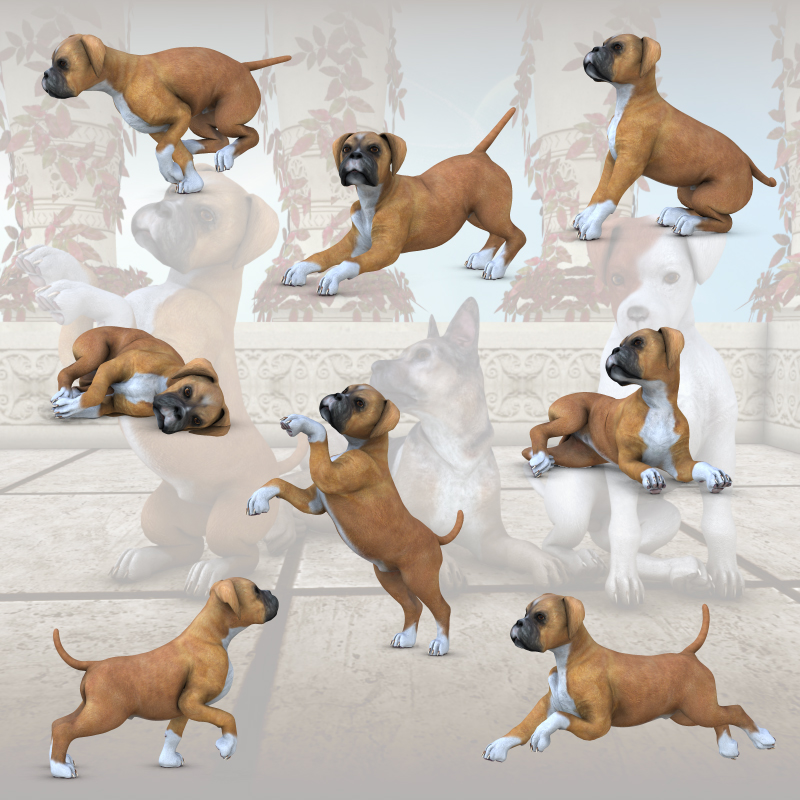 CG Puppy Poses by N/A