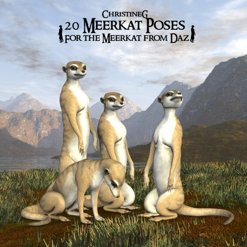 CG Meerkat Poses by N/A