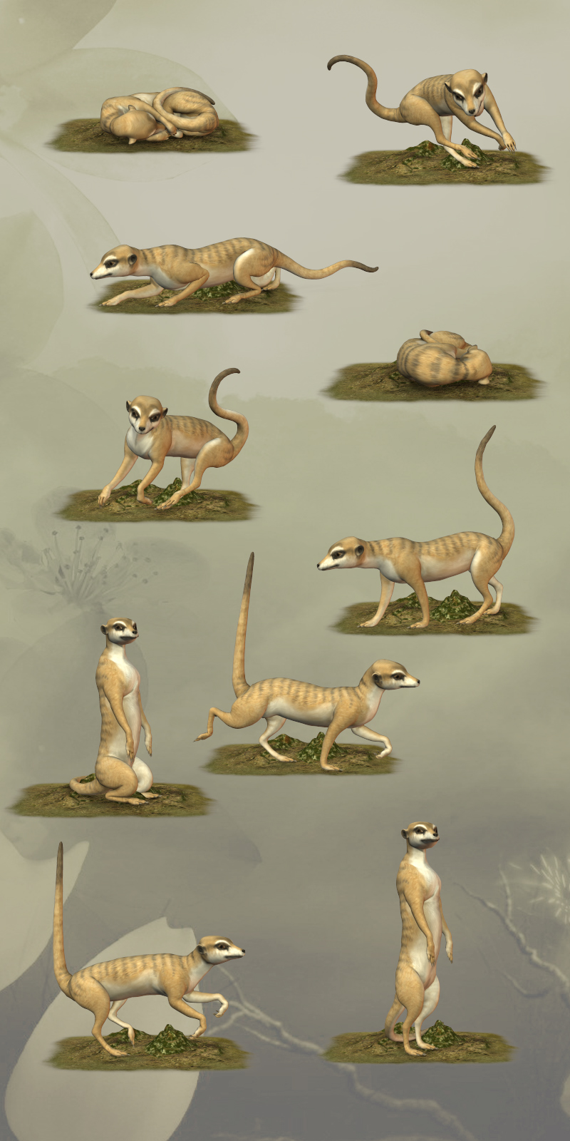 CG Meerkat Poses by N/A