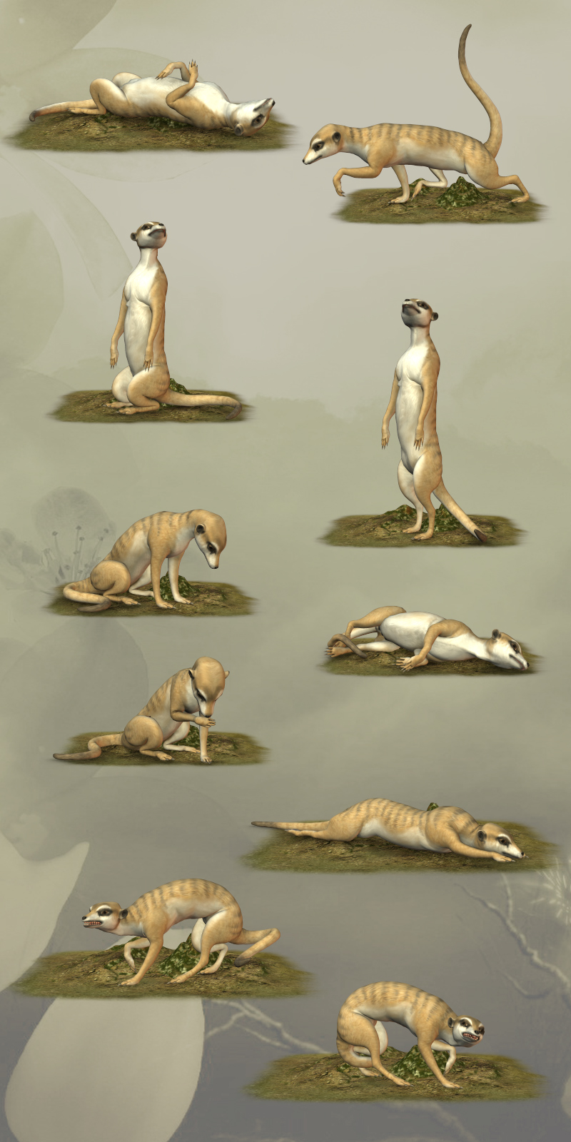 CG Meerkat Poses by N/A