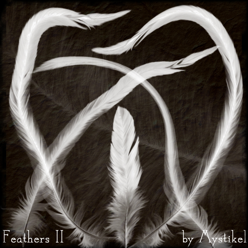Feathers 2 Brushes by N/A