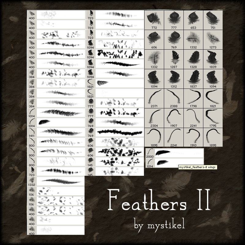 Feathers 2 Brushes by N/A