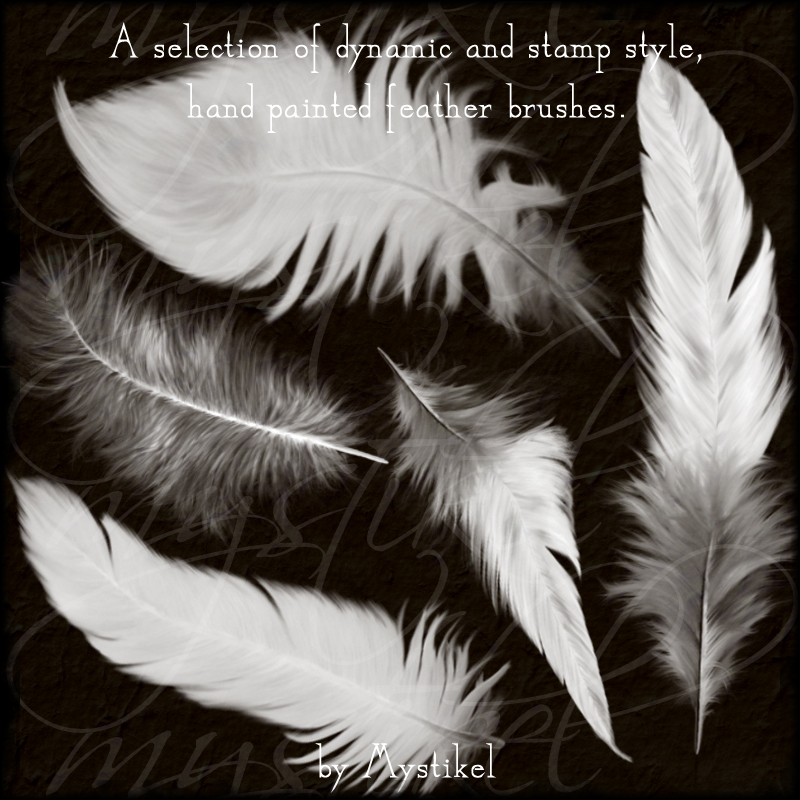 Feathers 2 Brushes by N/A