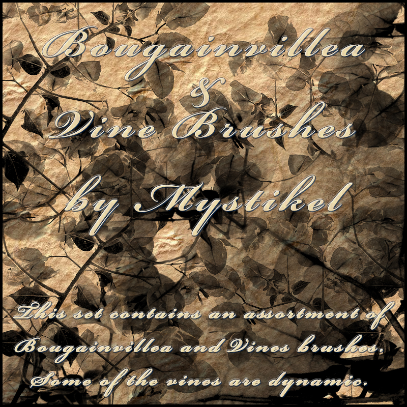 Bougainvillea & Vine Brushes by N/A