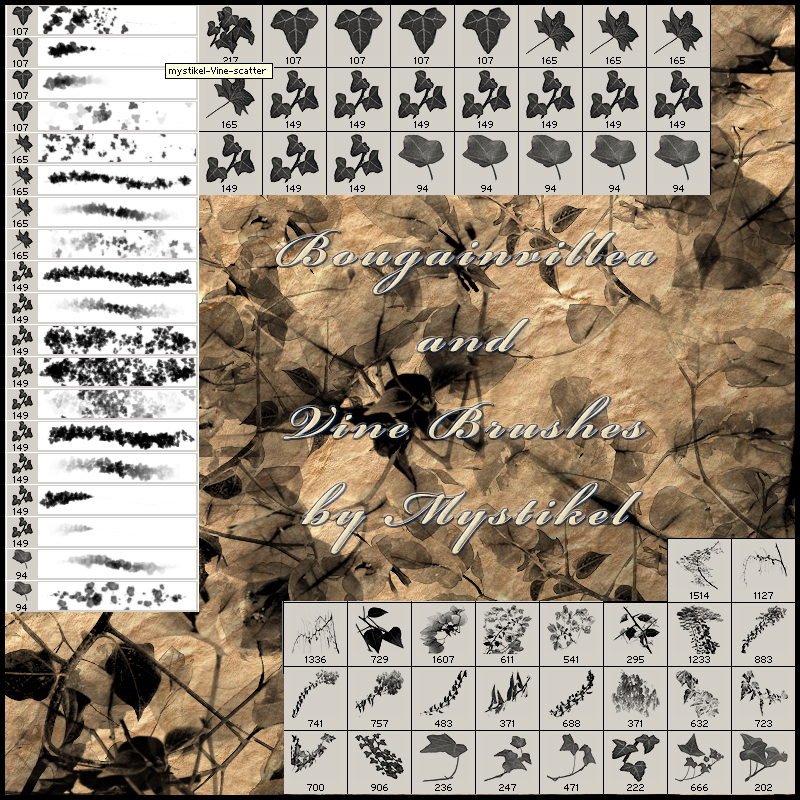 Bougainvillea & Vine Brushes by N/A