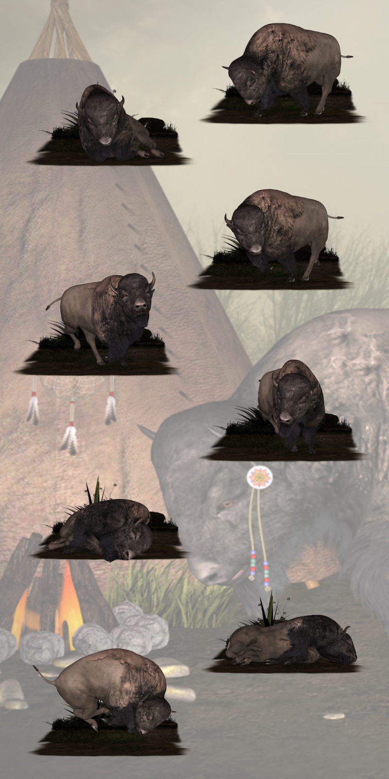 CG Bison Poses by N/A