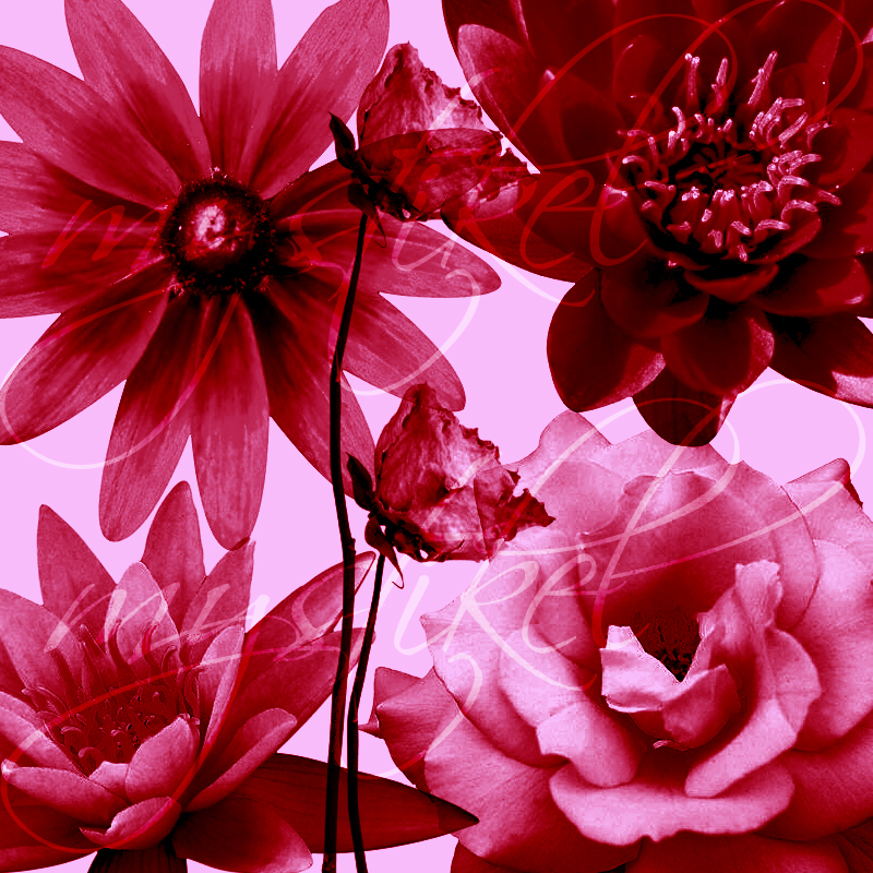 Flower and leaf brushes by N/A