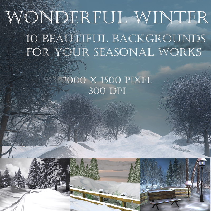 Wonderful Winter by N/A