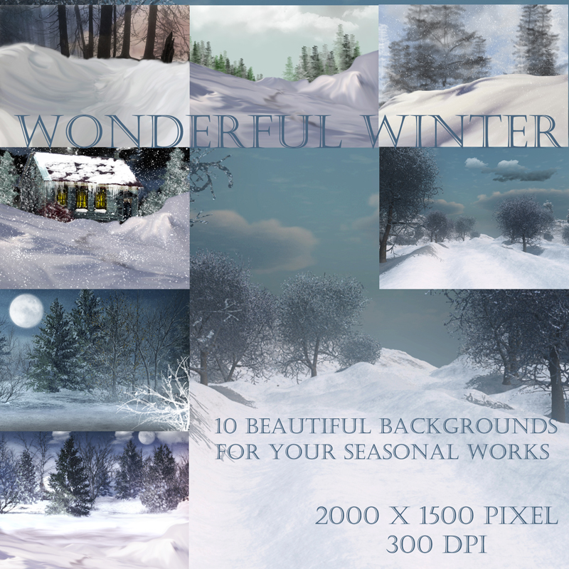 Wonderful Winter by N/A