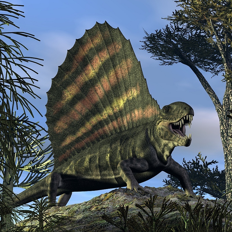 DimetrodonDR by N/A