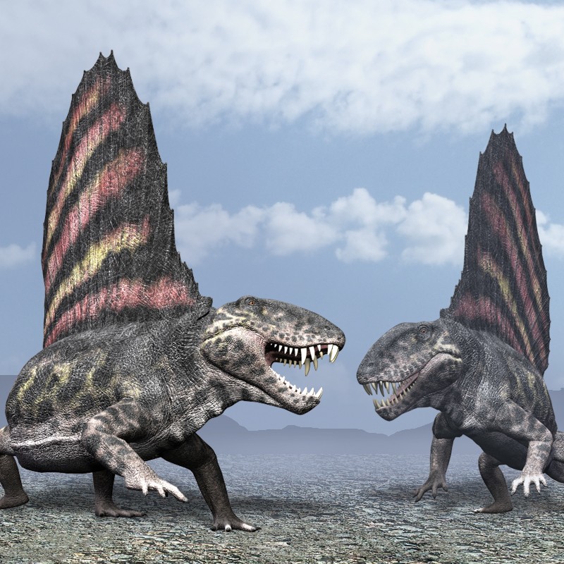 DimetrodonDR by N/A