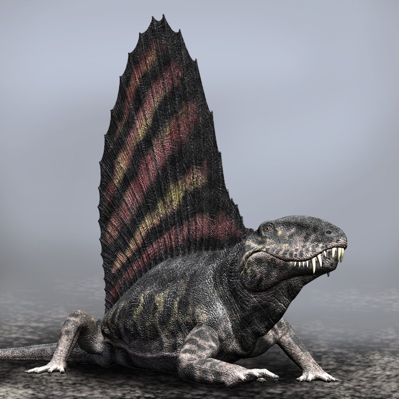 DimetrodonDR by N/A
