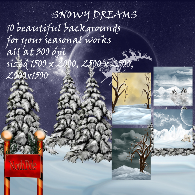 Snowy Dreams by N/A