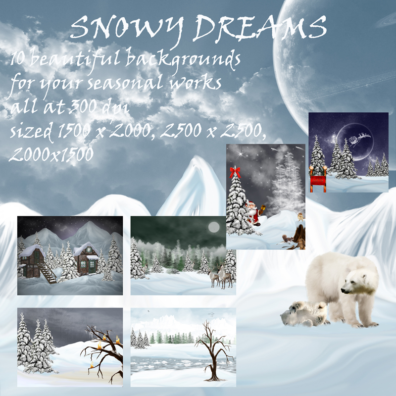 Snowy Dreams by N/A
