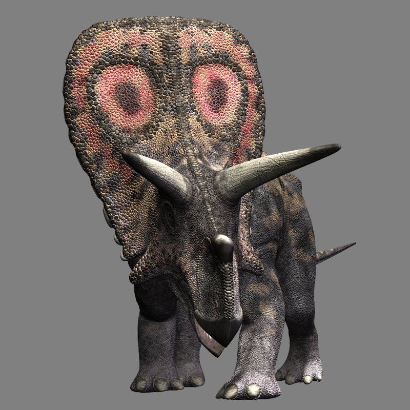TorosaurusDR by N/A