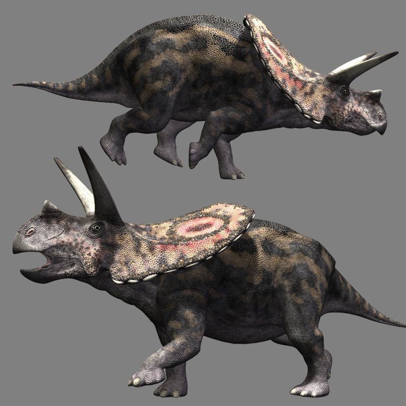 TorosaurusDR by N/A