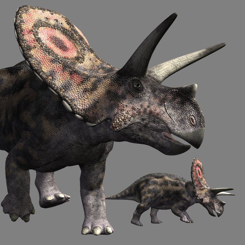 TorosaurusDR by N/A