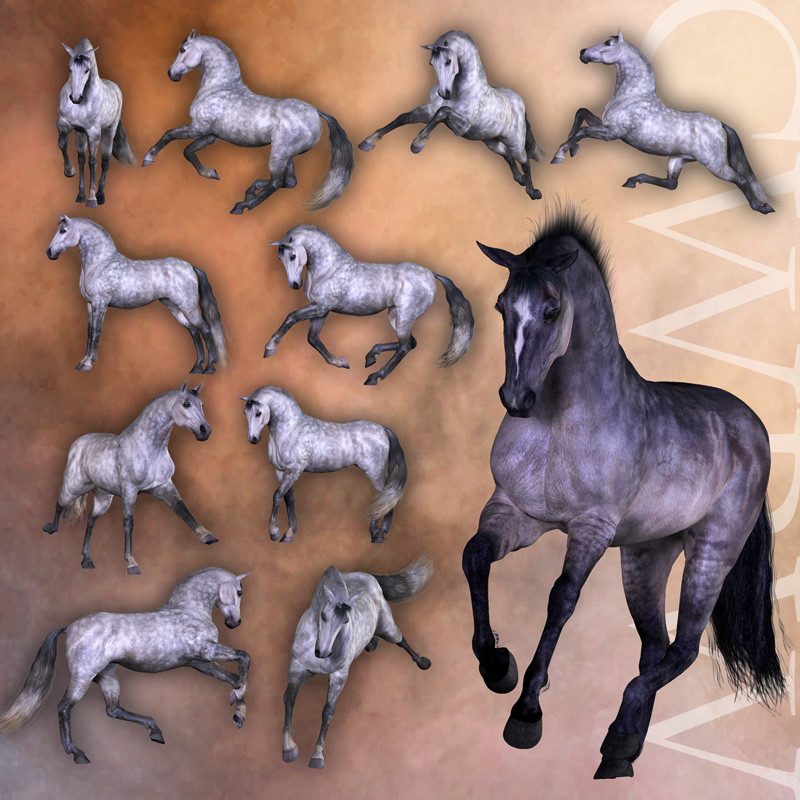 CWRW The Elegant Equine: Pose Pack 1 by N/A