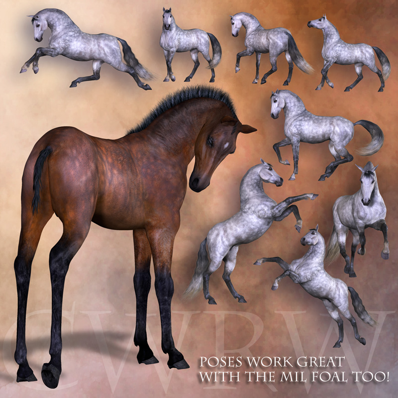 CWRW The Elegant Equine: Pose Pack 1 by N/A