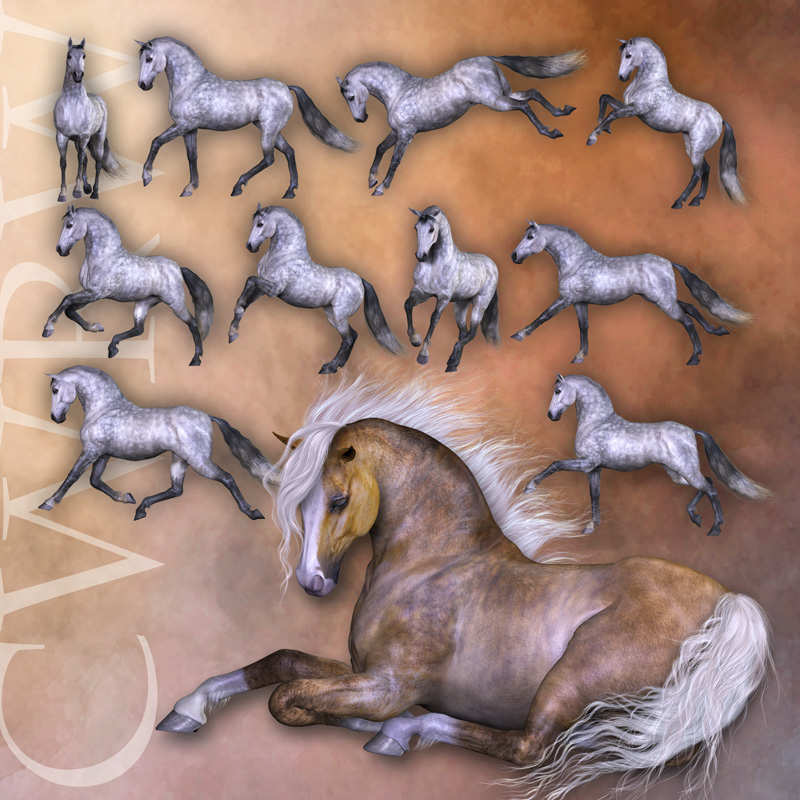 CWRW The Elegant Equine: Pose Pack 1 by N/A
