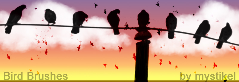 Bird Brushes by N/A