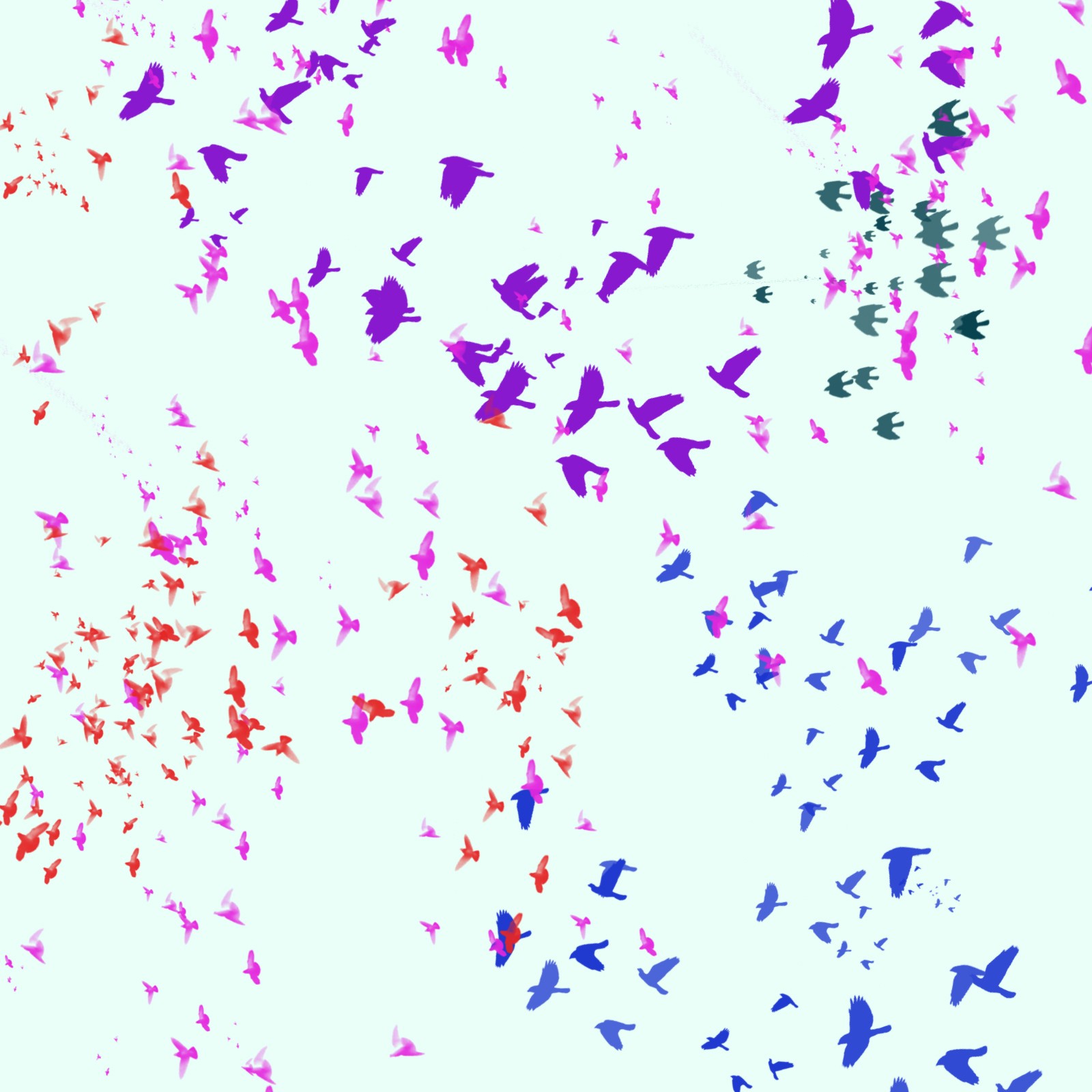 Bird Brushes by N/A