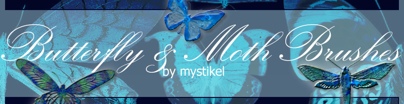 Butterfly and Moth Brushes by N/A