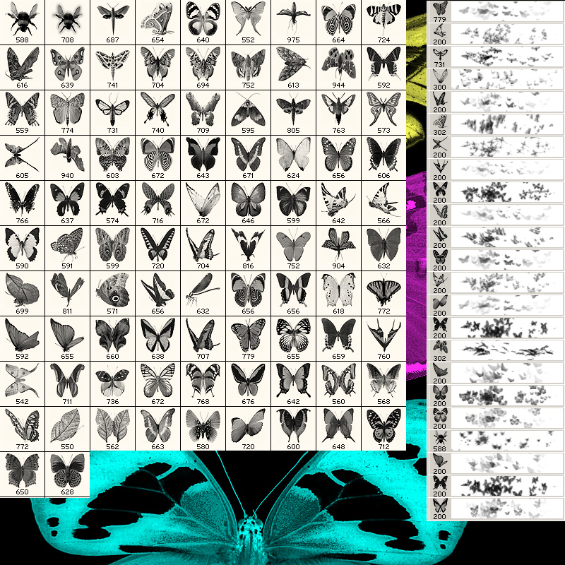 Butterfly and Moth Brushes by N/A