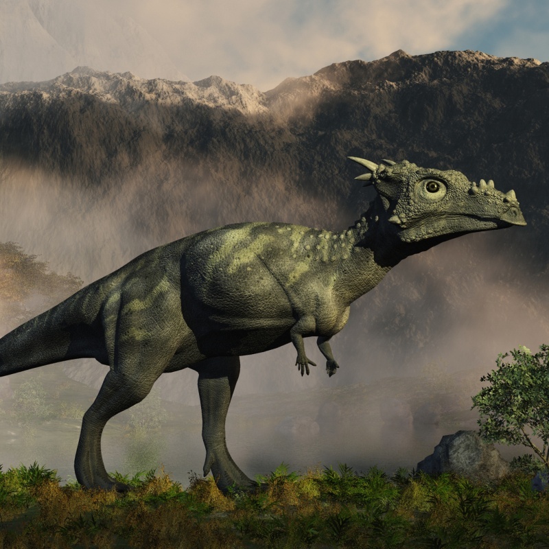 DracorexDR by N/A