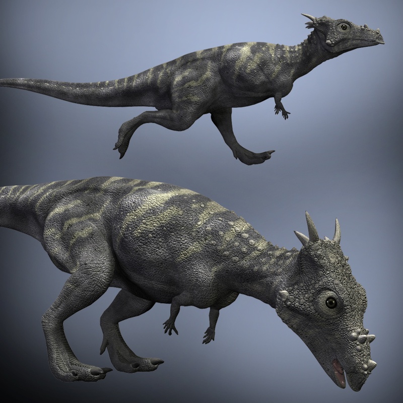 DracorexDR by N/A