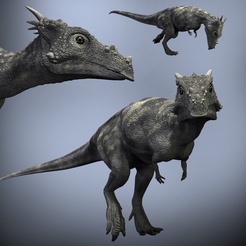DracorexDR by N/A
