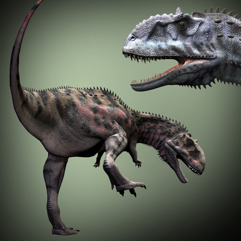MajungasaurusDR by N/A