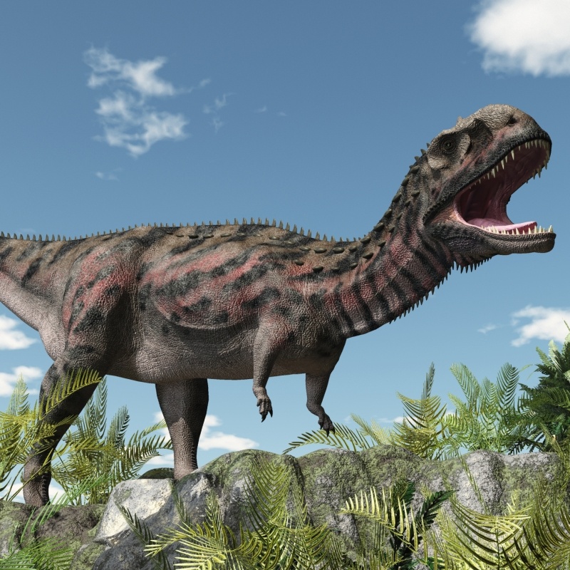 MajungasaurusDR by N/A