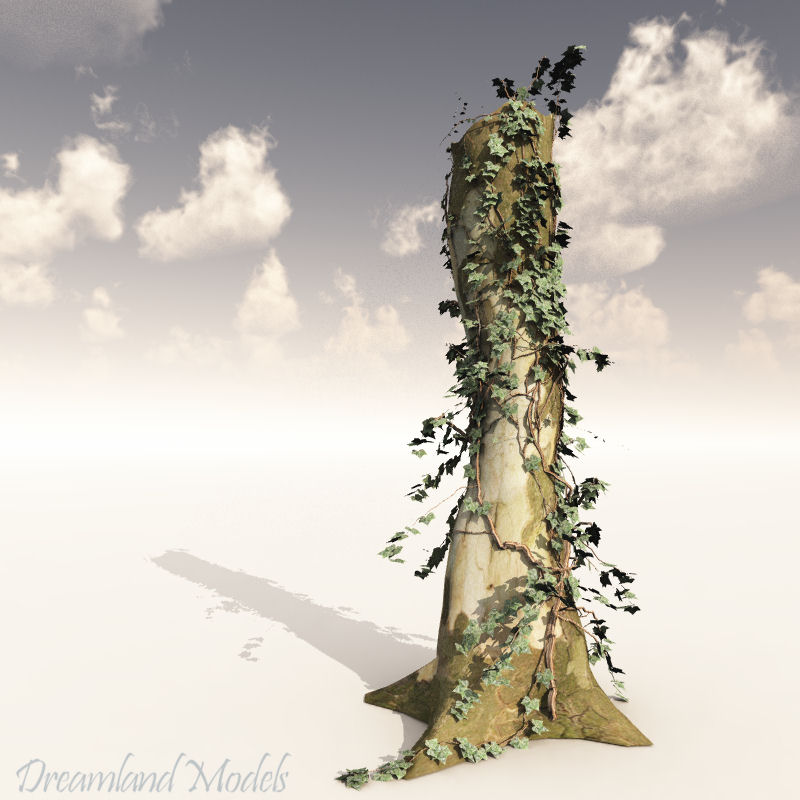 Dead Tree Trunk by N/A